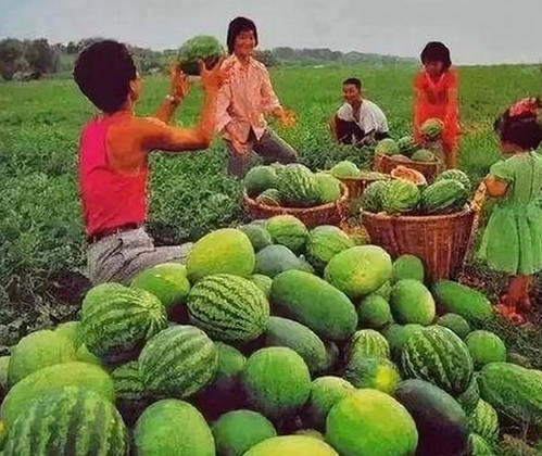 娱乐圈的隐秘角落:从吃瓜到热点事件的背后真相揭秘