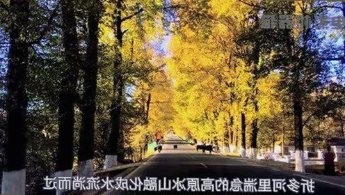 7月娱乐圈最新爆料:明星沙雕瞬间大揭秘