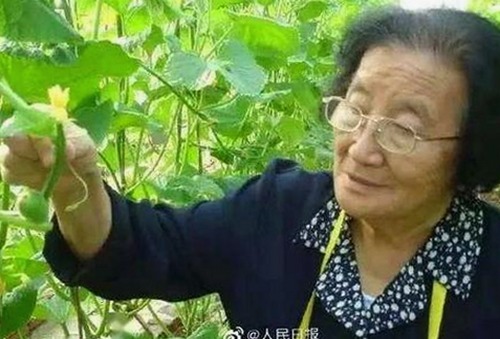 微信表情“吃瓜吃瓜”背后的流行密码