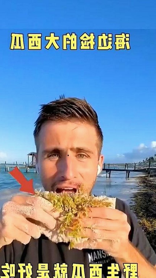 每日吃瓜：娱乐圈公益与网络大赛的奇妙交织